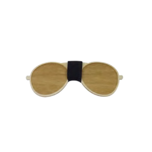 Papillon rayban