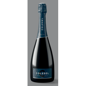COLESEL PROSECCO PRATO SCURO BRUT 1.5L ALC.11.5%