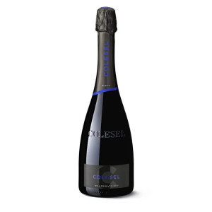 Colesel Prosecco Valdobbiadene DOCG Superiore dry Bio 0.75L - 11.5°
