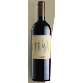 JEMA CESARI CORVINA VERONESE ALC.13.50%