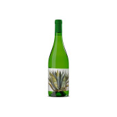  GROTTAIA VERMENTINO Toscana IGT